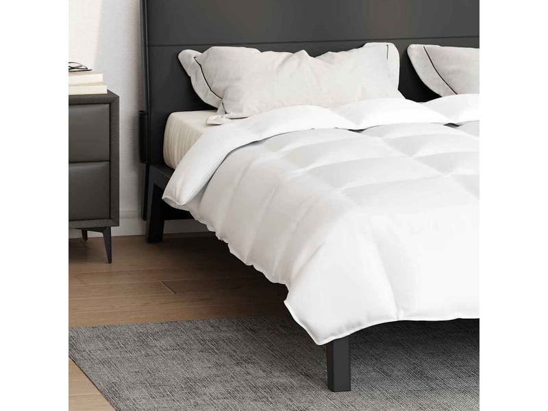  Couette - duvet 240 x 220 cm printemps, automne plume blanc respirant  - Conforama E