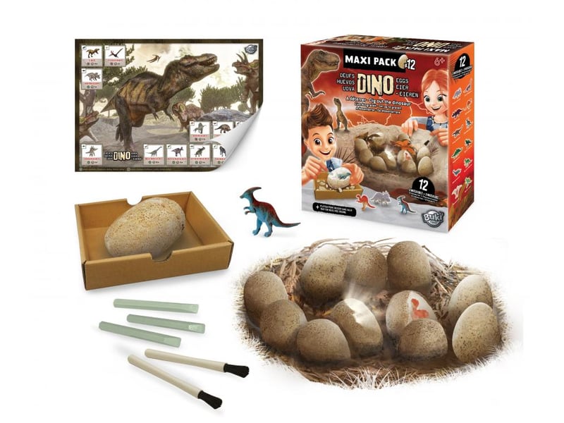  Dino egg maxi pack 12 oeufs à fouiller et creuser 2138 - Conforama B