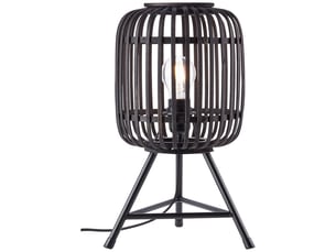Lampe    woodrow