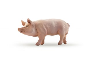 51044 verrat papo figurine