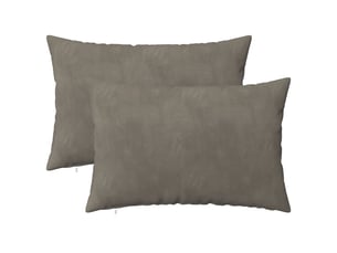 Lot de 2 coussins avec oreiller, coussins décoratifs heerlen gris clair velours cf50481