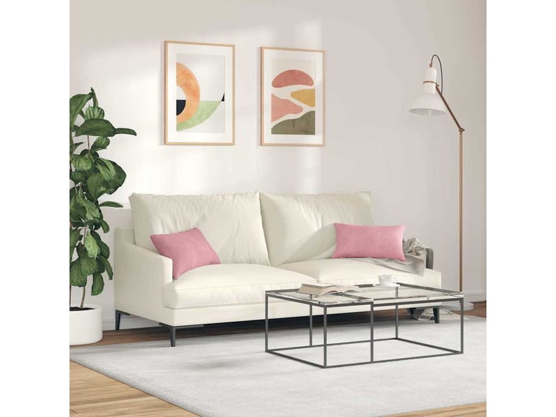  Lot de 2 coussins de canapé, coussins décoratifs rose 50 x 30 cm cf59148  - Conforama D