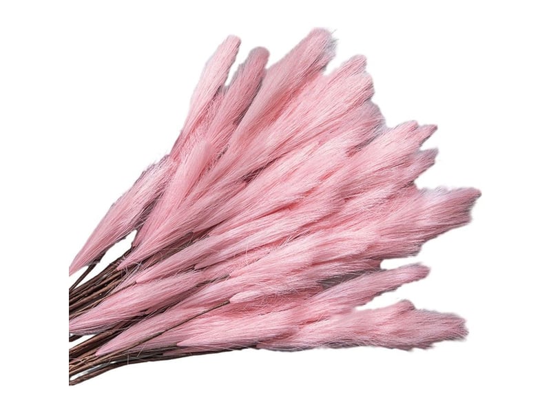  Plante artificielle - roseau pampas - hauteur 80 cm - tête fleurie 18 cm - pour décoration intérieure bureau mariage - 1 pièce  - Conforama B