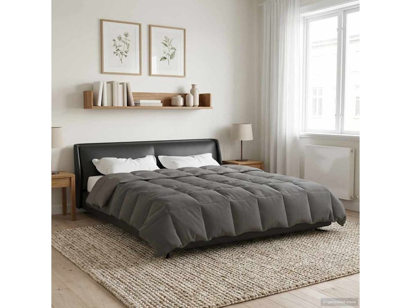 Couette - duvet d'été 220 x 260 cm été microfibre (100% polyester)  - Conforama D