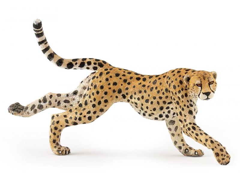  Guépard courant papo figurine 50238 - Conforama B