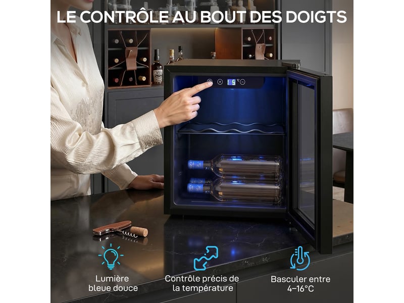  Cave à vin 12 bouteilles 36l, réfrigérateur à vin et boissons avec température réglable 4-16 °c, noir, porte réversible  - Conforama E