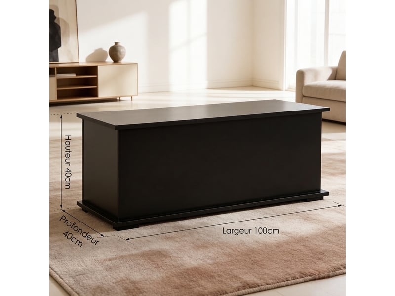  Banc coffre de rangement noir avec couvercle, structure en bois, 100x40x40 cm  - Conforama C