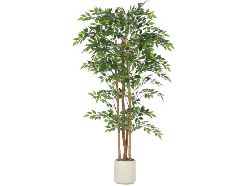 Plante artificielle banyan avec feuilles réglables et pot stable pour salon ou bureau en plastique vert - Conforama A