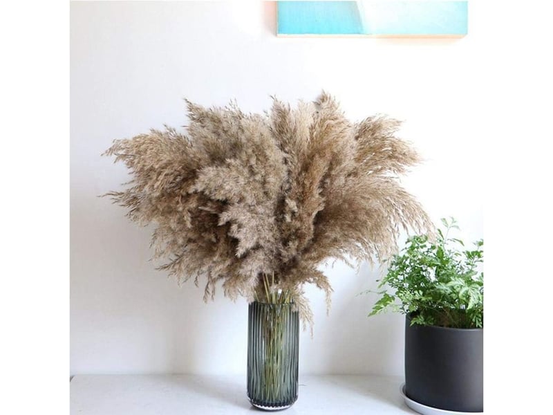  Ahlsen herbe de la pampa, 20 pièces, 60 cm, séchée naturellement, mariage, bouquet tendance, fleurs artificielles, pour décoration intérieur, vases intérieur  - Conforama C