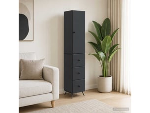 Armoire <strong></strong> <strong></strong> coloris noir largeur 34.5 cm