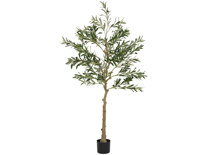  Plante artificielle, olivier artificiel, 150 cm, 720 feuilles, 40 olives, pot de fleurs robuste, plante décorative, verte  - Conforama B