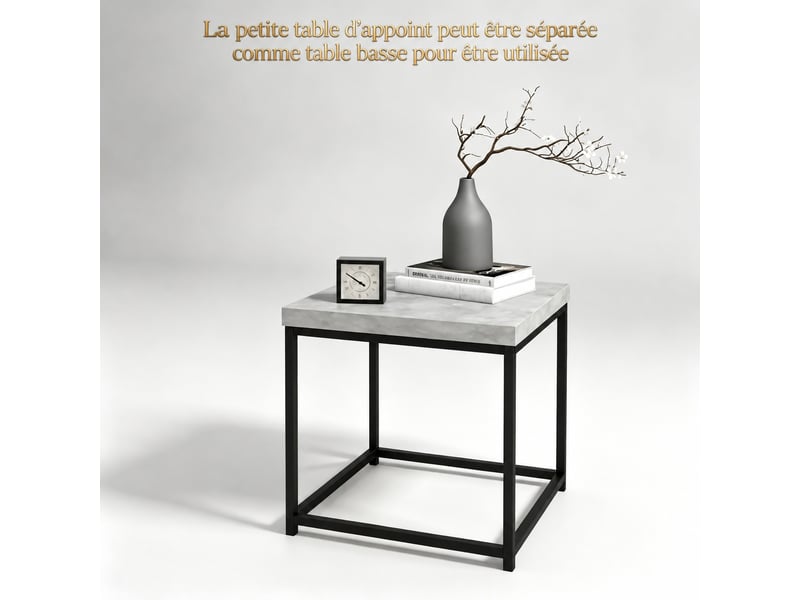  Lot de 2 tables basses gigognes, table basse carrée 45x45 cm, cadre en acier robuste noir, plateau gris, gain de place  - Conforama E