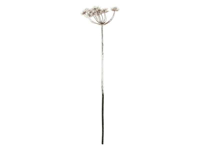  Bch allium enneigee h98cm  - Conforama A
