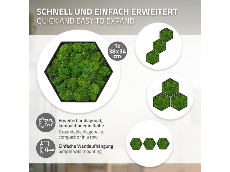  Ecd germany tableau en mousse boule stabilisée véritable, forme hexagonale 38 x 34 cm, vert, décoration murale végétale d'intérieur, cadre en bois, sans arrosage ni entretien, effet 3d, pièce unique ECD Germany GmbH - Conforama D