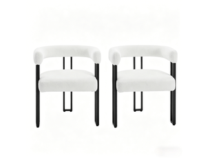 Chaise de lecture confortable, dossier et accoudoirs, lot de 2, salon et salle à manger, coloris café et maquillage