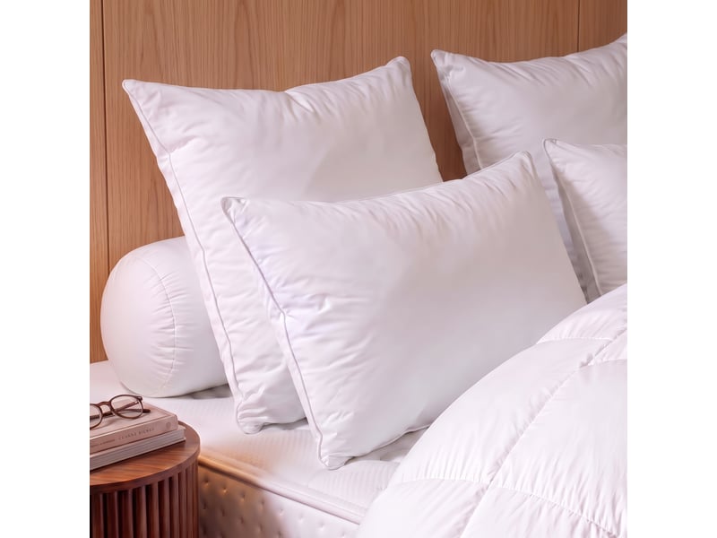  Dodo - oreiller 50x70 thermoduv canard - 50% duvet - medium  - Conforama B
