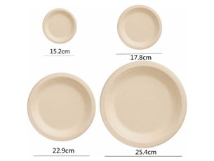 Lot de 100 assiettes en carton rigides 100% biodégradables, 15,2 cm, pour pique-niques et barbecues
