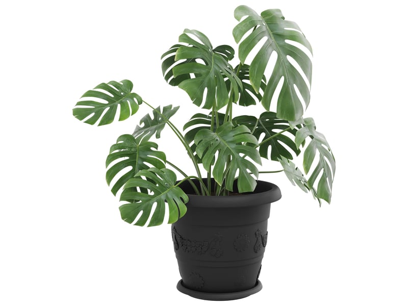 Jardinière - pots de plantes 6 pcs noir ø 34 x 28 cm plastique - Conforama C
