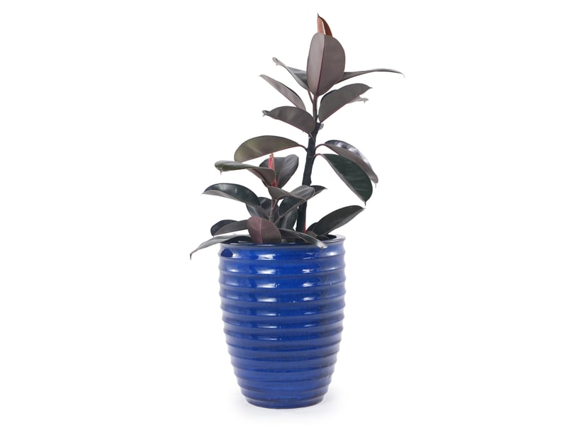 Grand pot de plantes en céramique artisanale (ø 42 cm × 54 cm) bleu roi  - Conforama B