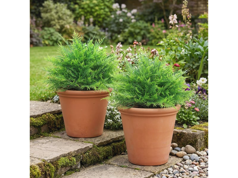  Fougères de boston artificielles, résistantes aux uv, avec tuteurs, lot de 2, 60 cm, pour jardin ou terrasse.  - Conforama C
