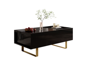 Table basse rectangulaire coloris noir <strong>WISHDOR</strong> <strong></strong> - 50 cmx100 cm