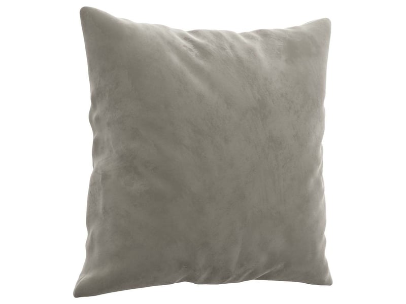  Lot de 2 coussins décoratifs gris clair 40x40 cm velours cf60865  - Conforama C