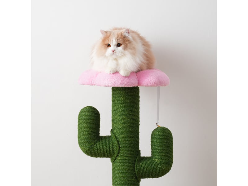 cactus avec griffoir chat 90 cm, plateforme fleur et sécurité. Superbe vert pour le jeu et le repos quotidien. - Conforama B