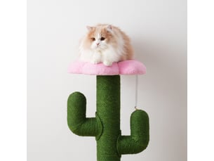 cactus avec griffoir chat 90 cm, plateforme fleur et sécurité. Superbe vert pour le jeu et le repos quotidien.