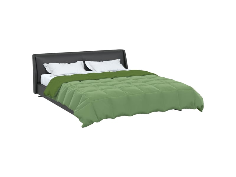  Duvet d'hiver - couette 220 x 240 cm hiver - couette microfibre (100% polyester)  - Conforama C