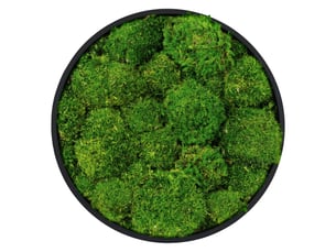 Ecd germany tableau en mousse boule stabilisée véritable, forme ronde ø 30 cm, vert, décoration murale végétale d'intérieur, cadre en mdf, sans arrosage ni entretien, effet 3d, pièce unique