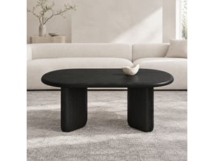 Table basse ovale coloris noir <strong>MAISENTIEL</strong> <strong></strong> - 50 cmx99 cm