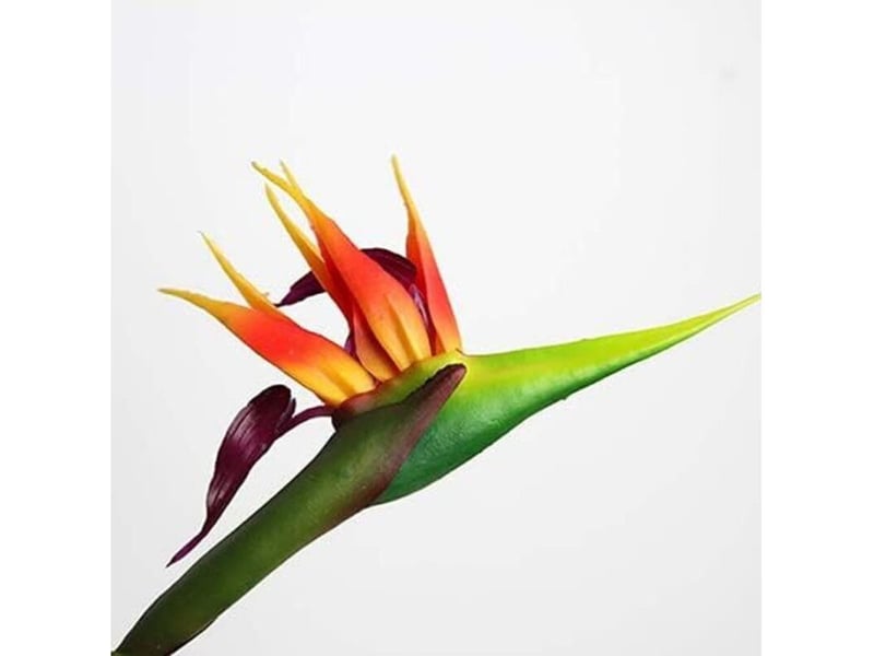  Lot de 3 oiseaux de paradis 81,3 cm – fleurs artificielles résistantes aux uv – caoutchouc souple – décoration intérieure et extérieure  - Conforama D