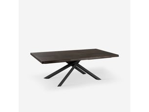 Table extensible en chêne et métal 200300x100 blake - bois neutre