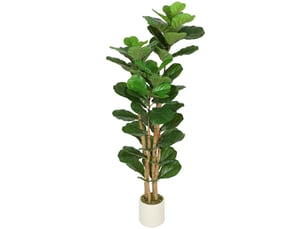 Figuier lyre artificiel, plante artificielle à 71 feuilles, tronc en bois massif, pot, 50 x 50 x 150 cm, vert