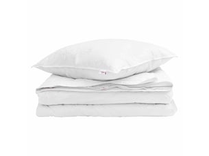 Duvet 2-en-1 avec oreiller 2 pcs - couette blanc plume de canard