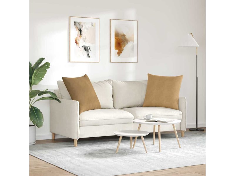  Lot de 2 coussins de canapé, coussins décoratifs marron 80 x 80 cm cf59132  - Conforama D