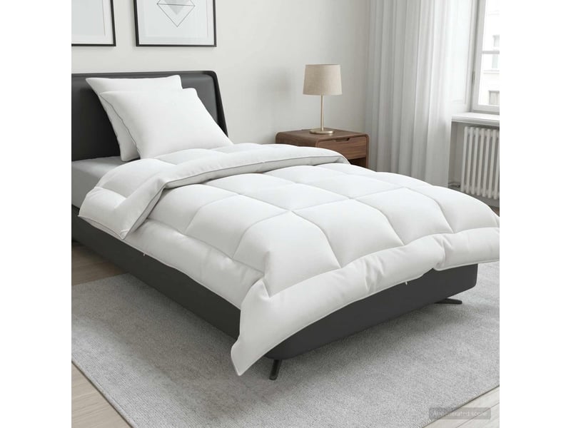  Ensemble de couette et d'oreiller 3 pcs - duvet 140x220 cm hiver 450 gsm  - Conforama B