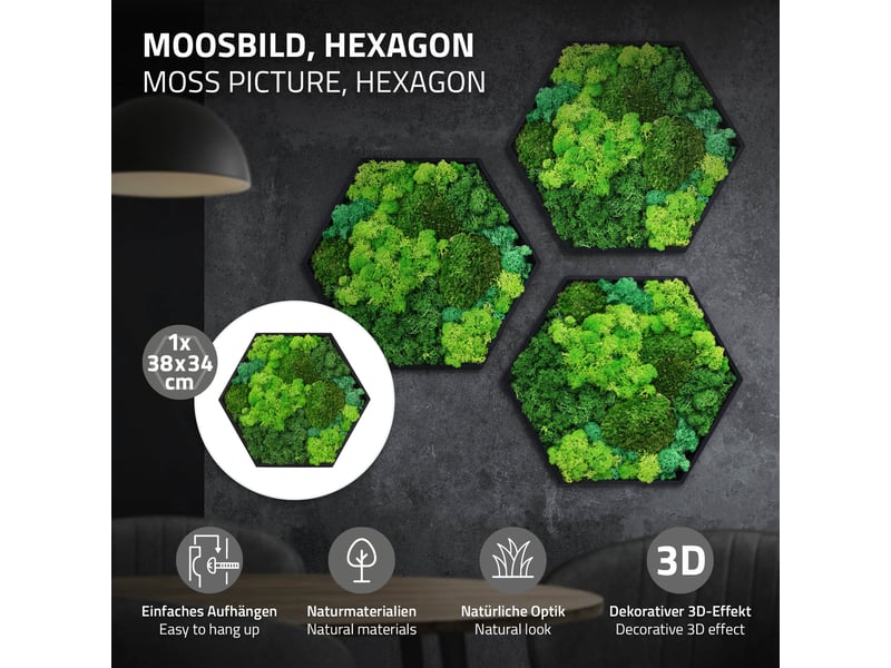 Ecd germany tableau végétal mural, mélange de mousses stabilisées, hexagonal, 38 x 34 cm, vert, décoration d'intérieur véritable effet 3d, sans arrosage ni entretien, cadre en bois, pièce unique ECD Germany GmbH - Conforama B