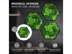 Ecd germany tableau végétal mural, mélange de mousses stabilisées, hexagonal, 38 x 34 cm, vert, décoration d'intérieur véritable effet 3d, sans arrosage ni entretien, cadre en bois, pièce unique