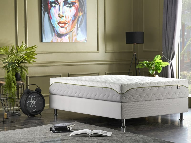 Physionat ; matelas 160x200 morphologique ; mousse hr 40kg ;extraits de soja 069061200103 - Conforama B
