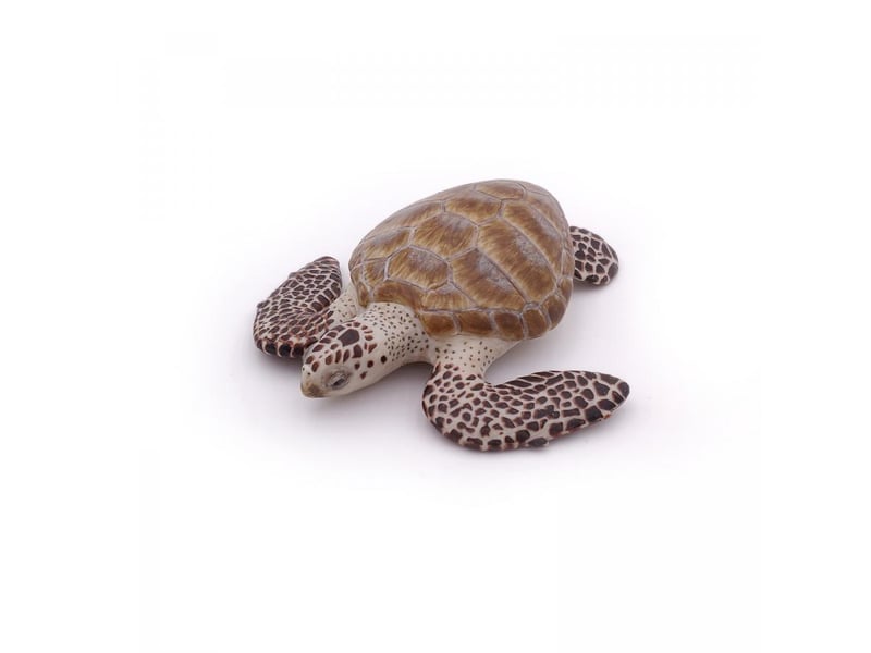  56005 tortue caouanne figurine 56005 - Conforama D