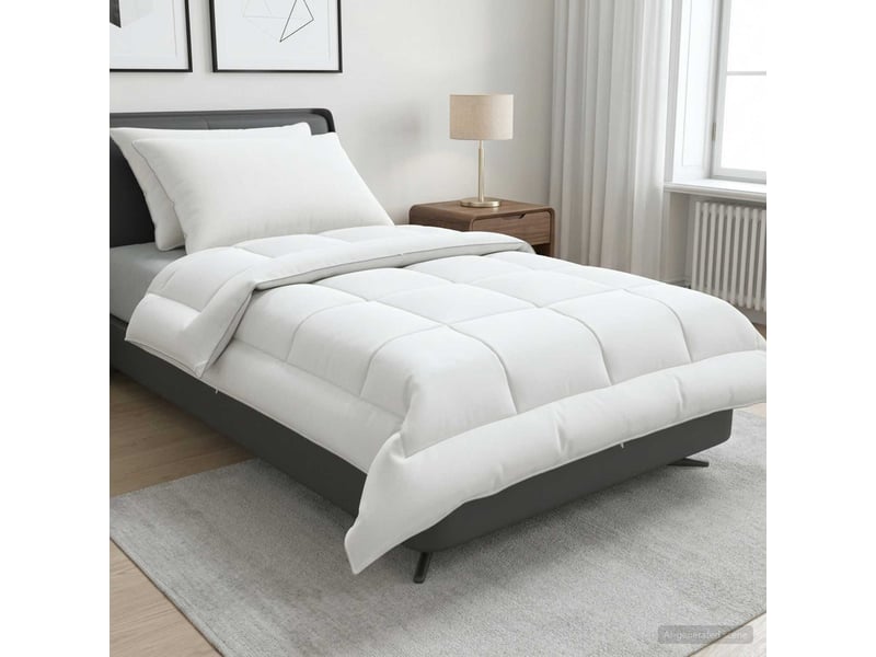  Ensemble de couette et d'oreiller 3 pcs - duvet 135x220 cm été 140 gsm  - Conforama B