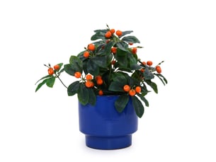 Lot de 3 pots en céramique ø 38,130,522,9 cm – bleu – drainage intégré, intérieurextérieur