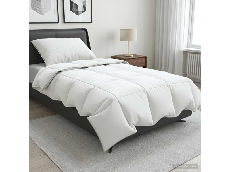  Ensemble de couette 90 % en duvet d’oie fulda 2 pcs - duvet 135 x 200 cm  - Conforama B