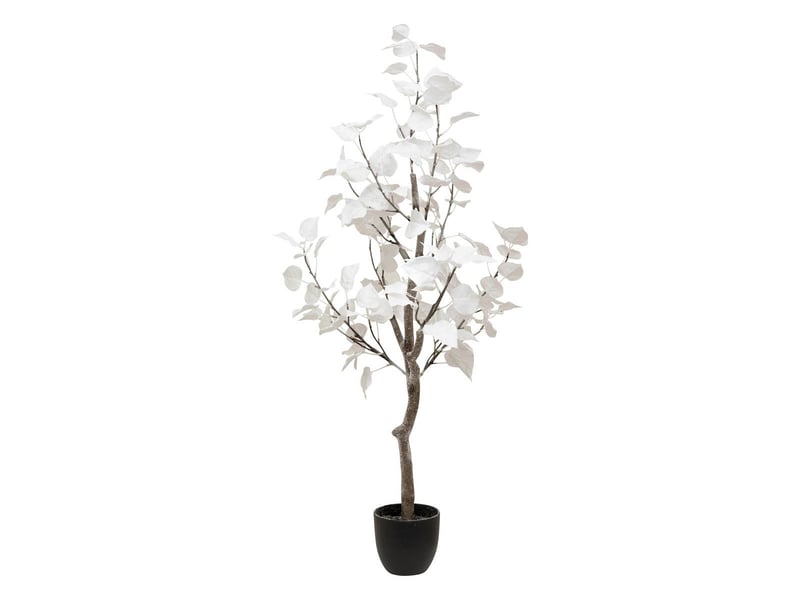  Arbuste blc pot h120  - Conforama A