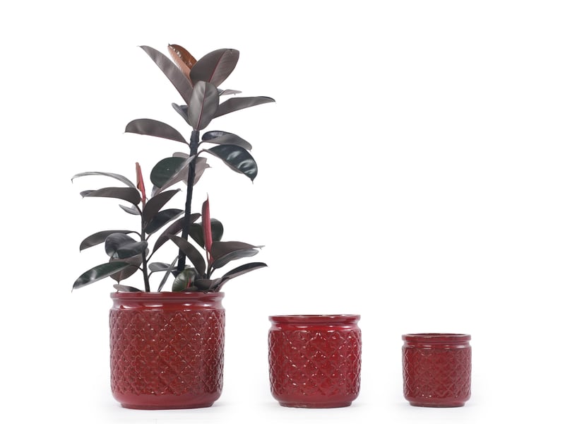  Set de 3 pots de fleurs en céramique ø 3830,523 cm – rouge lie-de-vin brillant – drainage extérieur  - Conforama A
