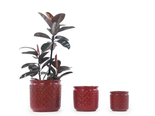 Set de 3 pots de fleurs en céramique ø 3830,523 cm – rouge lie-de-vin brillant – drainage extérieur