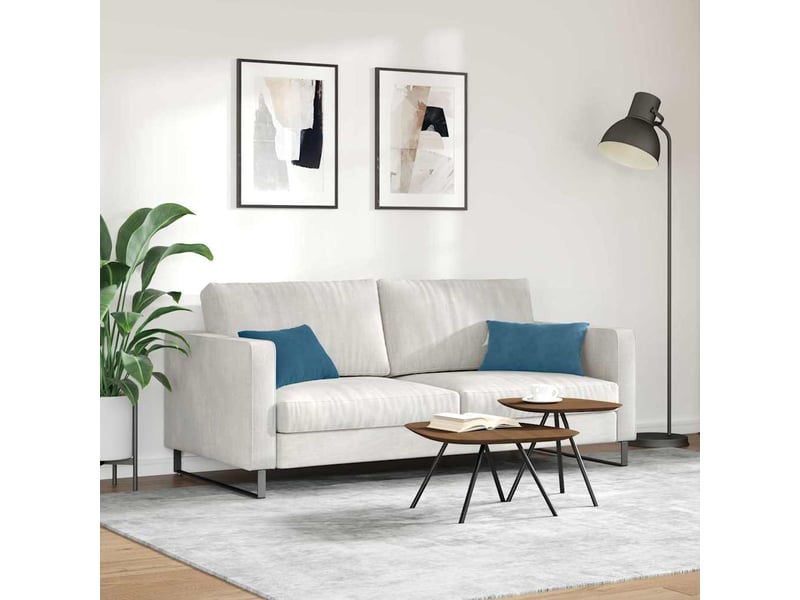 Lot de 2 coussins de canapé, coussins décoratifs bleu 50 x 30 cm cf59002 - Conforama D