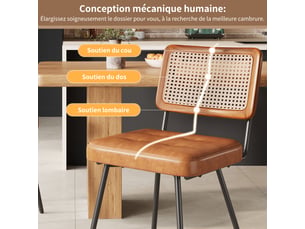 Lot de 2 chaises avec dossier en rotin pe et pieds en fer réglables, design élégant, pu et métal, marron