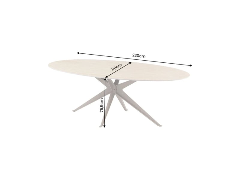  Table de salle à manger avelis ovale 220 cm en céramique beige et métal marron style contemporain  - Conforama C